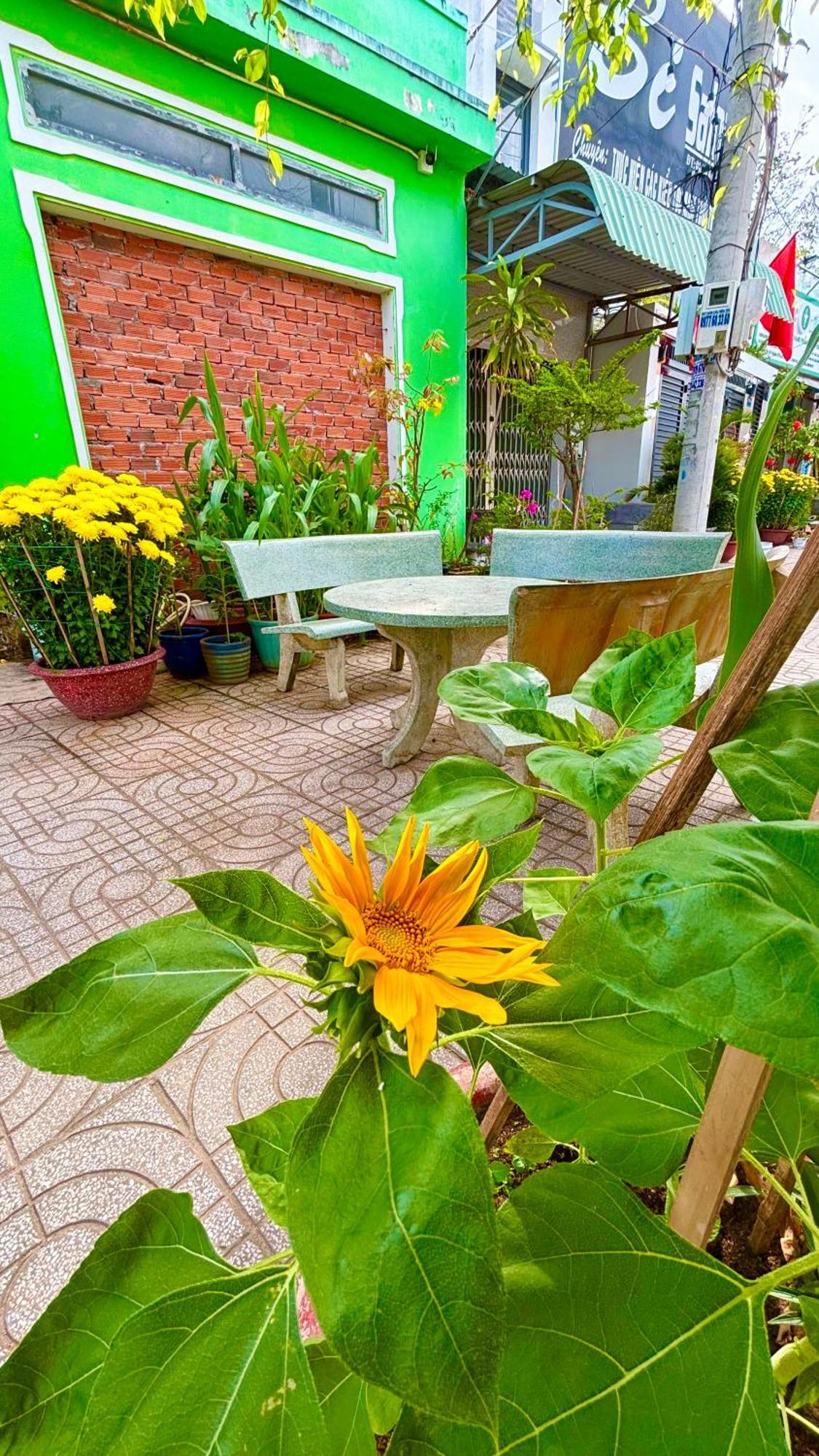 Thuy Hang Motel Long Hải Extérieur photo